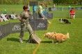 /album/fotogalerie-11-rocnik-eagers-cup/dsc-0060-jpg1/