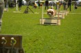/album/fotogalerie-11-rocnik-eagers-cup/dsc-0073-jpg1/
