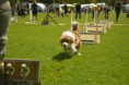 /album/fotogalerie-11-rocnik-eagers-cup/dsc-0074-jpg1/