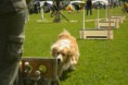 /album/fotogalerie-11-rocnik-eagers-cup/dsc-0080-jpg1/