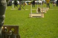 /album/fotogalerie-11-rocnik-eagers-cup/dsc-0082-jpg1/