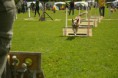 /album/fotogalerie-11-rocnik-eagers-cup/dsc-0083-jpg1/