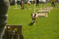 /album/fotogalerie-11-rocnik-eagers-cup/dsc-0084-jpg1/