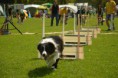 /album/fotogalerie-11-rocnik-eagers-cup/dsc-0089-jpg1/