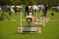 /album/fotogalerie-11-rocnik-eagers-cup/dsc-0090-jpg1/