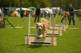 /album/fotogalerie-11-rocnik-eagers-cup/dsc-0091-jpg1/