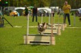 /album/fotogalerie-11-rocnik-eagers-cup/dsc-0092-jpg1/