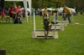 /album/fotogalerie-11-rocnik-eagers-cup/dsc-0094-jpg1/