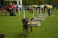 /album/fotogalerie-11-rocnik-eagers-cup/dsc-0095-jpg2/