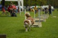 /album/fotogalerie-11-rocnik-eagers-cup/dsc-0096-jpg1/