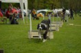 /album/fotogalerie-11-rocnik-eagers-cup/dsc-0101-jpg1/