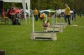 /album/fotogalerie-11-rocnik-eagers-cup/dsc-0103-jpg1/