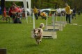/album/fotogalerie-11-rocnik-eagers-cup/dsc-0104-jpg1/