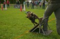 /album/fotogalerie-11-rocnik-eagers-cup/dsc-0106-jpg1/