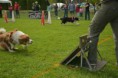 /album/fotogalerie-11-rocnik-eagers-cup/dsc-0108-jpg1/