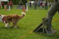 /album/fotogalerie-11-rocnik-eagers-cup/dsc-0110-jpg1/