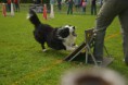 /album/fotogalerie-11-rocnik-eagers-cup/dsc-0111-jpg1/