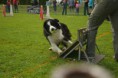 /album/fotogalerie-11-rocnik-eagers-cup/dsc-0112-jpg1/