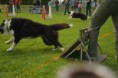/album/fotogalerie-11-rocnik-eagers-cup/dsc-0113-jpg1/