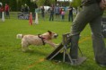 /album/fotogalerie-11-rocnik-eagers-cup/dsc-0115-jpg1/