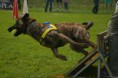 /album/fotogalerie-11-rocnik-eagers-cup/dsc-0120-jpg1/