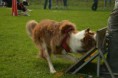/album/fotogalerie-11-rocnik-eagers-cup/dsc-0122-jpg1/