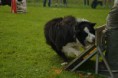 /album/fotogalerie-11-rocnik-eagers-cup/dsc-0123-jpg1/