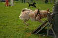 /album/fotogalerie-11-rocnik-eagers-cup/dsc-0124-jpg1/