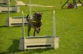 /album/fotogalerie-11-rocnik-eagers-cup/dsc-0127-jpg1/