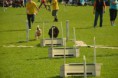 /album/fotogalerie-11-rocnik-eagers-cup/dsc-0133-jpg1/