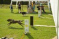 /album/fotogalerie-11-rocnik-eagers-cup/dsc-0141-jpg1/