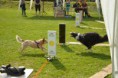 /album/fotogalerie-11-rocnik-eagers-cup/dsc-0145-jpg1/