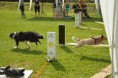 /album/fotogalerie-11-rocnik-eagers-cup/dsc-0146-jpg1/